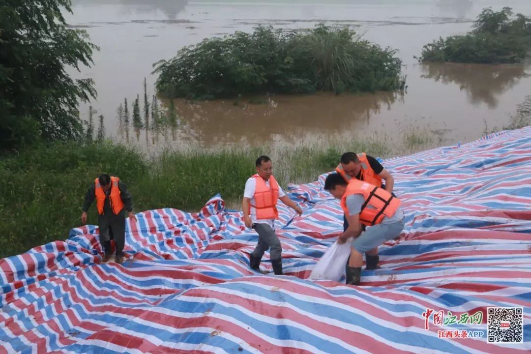 乐平多少人口_江西最难懂方言排行榜 快看看乐平排第几(3)