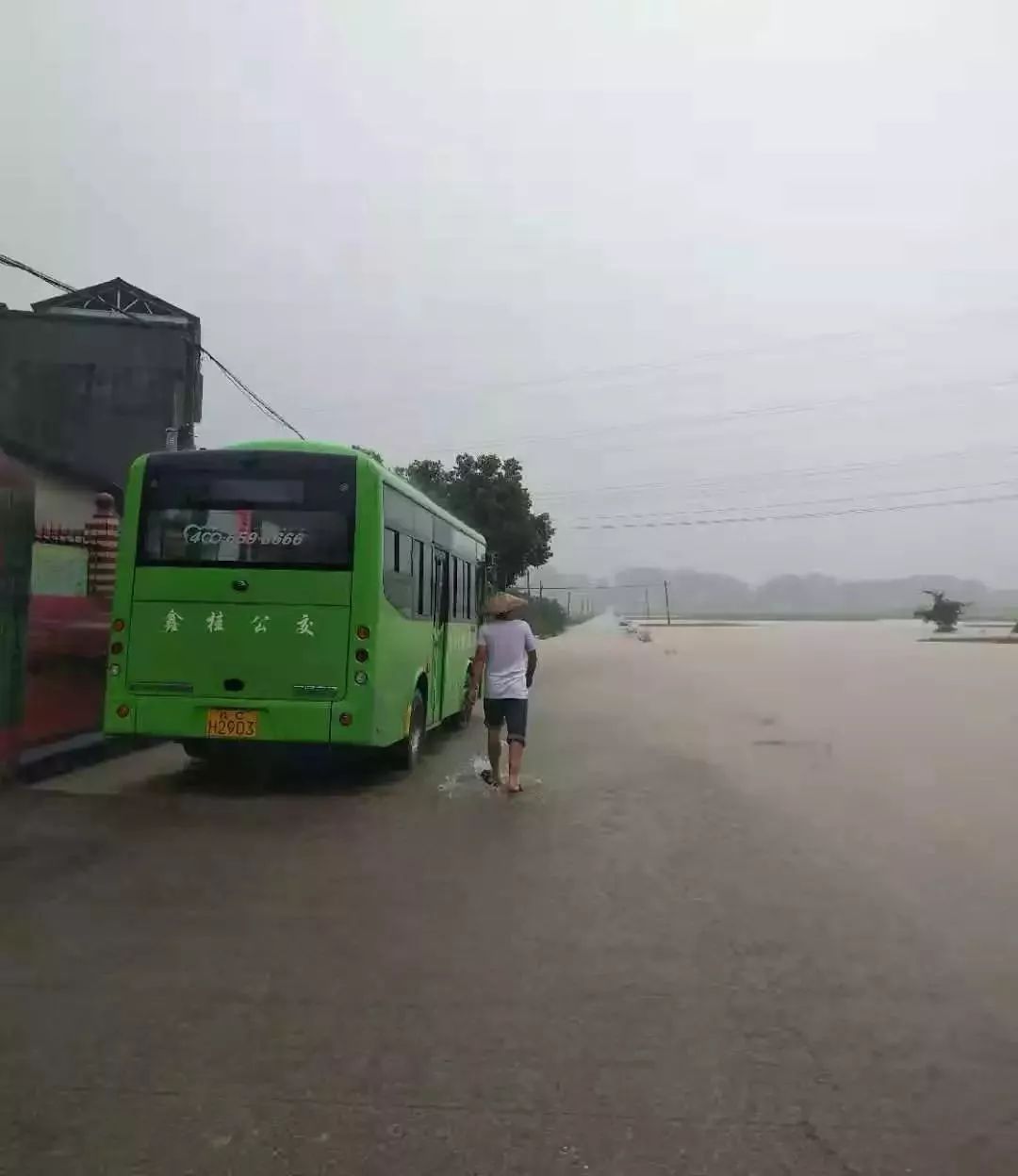 茶洞镇人口_茶洞镇图片