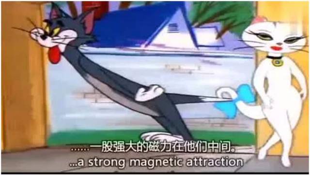 07507cde9d474db9b7b99999129f6124.jpeg
