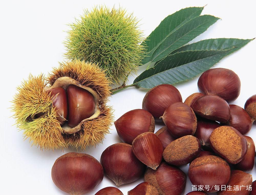                     孩子挑食缺营养？要想身体好，这几种食物要多做，帮助孩子补营养