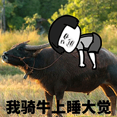热门表情包突然好想去放牛