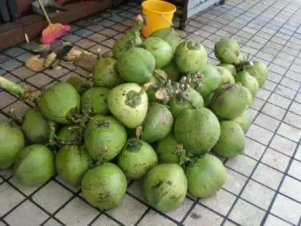 如何正确的打开椰子 190e44a48cfc4cea8bcc618852a0874f.jpeg