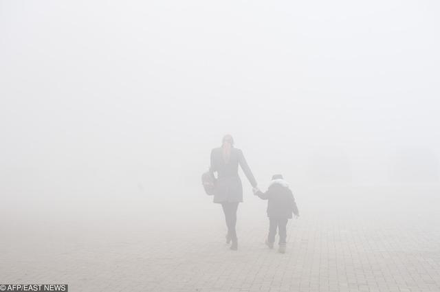 地球目前的环境问题有多严重？让这些震撼的图片告诉你