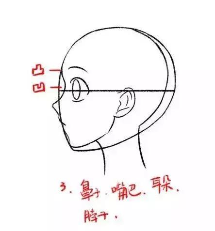 绘画初学者人物侧脸怎么画?教你轻松绘画人物侧脸的技巧