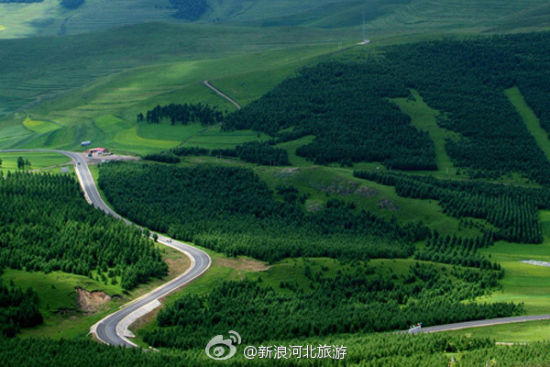 桦皮岭景区位于草原天路东口附近,百里坝头风景线海拔最高处,也是