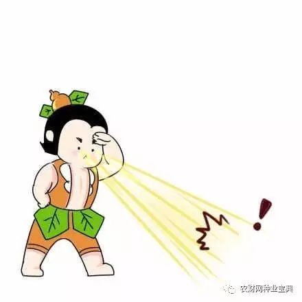 怎么种葫芦娃 2685fafd4d2a40c49299bba9f9c99c09.jpeg