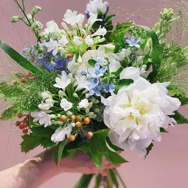 他每个月送她一朵红玫瑰