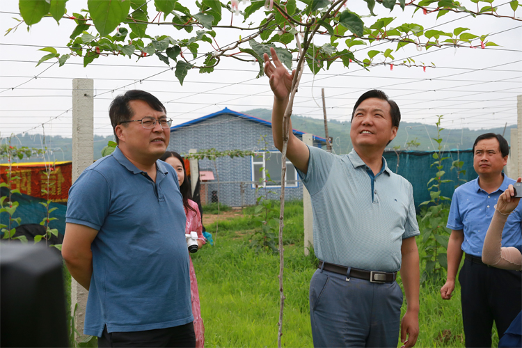 平桥区考察团到我县考察