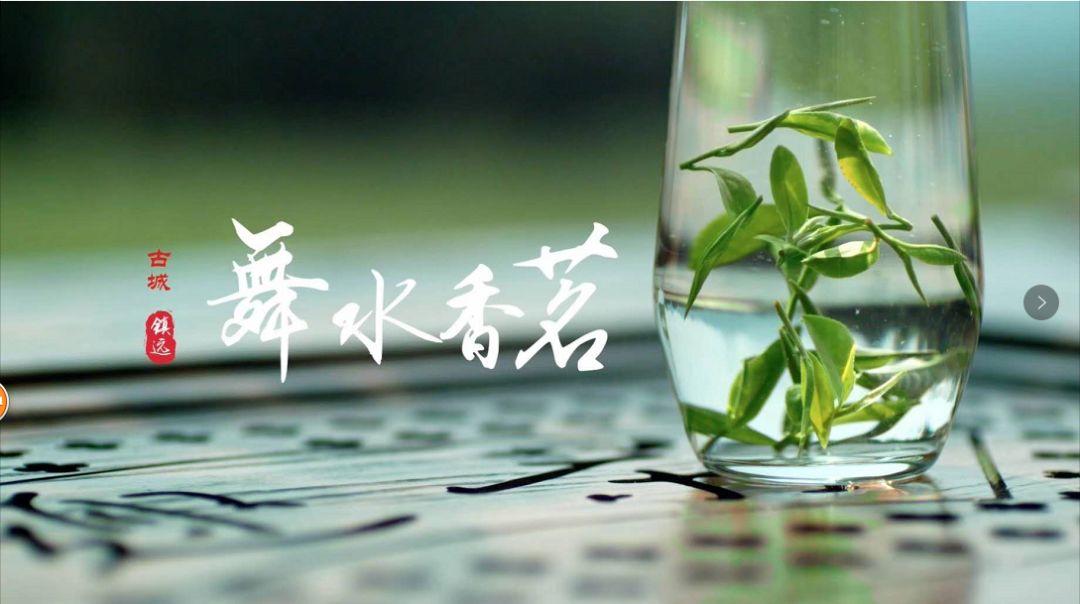 舞水香茗工艺篇 舞水香茗品牌篇 提到镇远,你会想到什么?