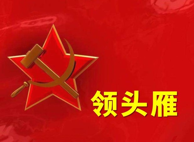 领头雁 山林子 自然道德智慧教育 慧商