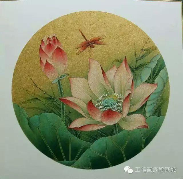 顾军工笔花鸟鱼虫国画欣赏