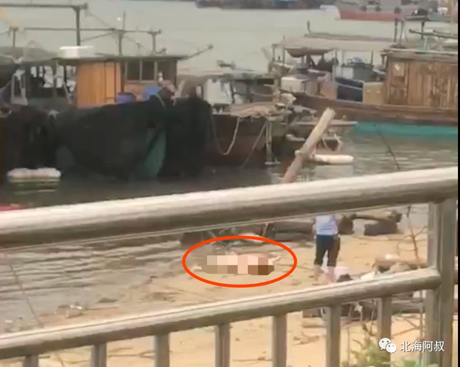 北海侨港码头海域打捞上一具浮尸_合浦