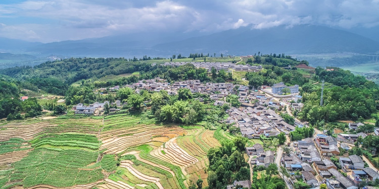 阿昌的人口_阿昌采茶图片(2)