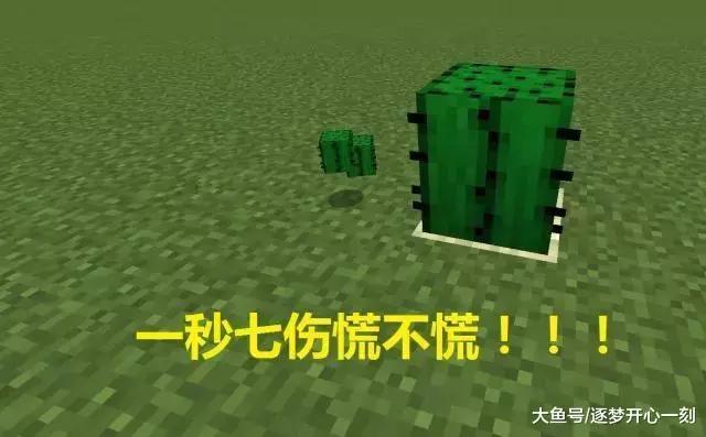 407e535b85784deeb69c686dbb23d1bd.JPG