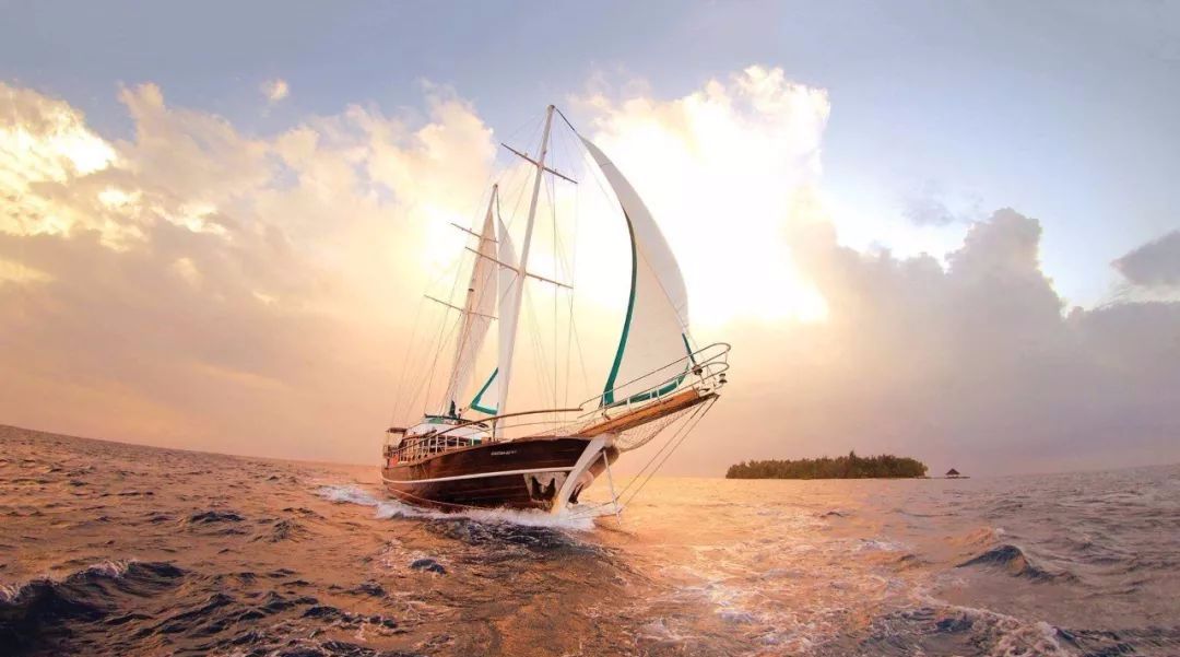 单氏文化:我姓单,我骄傲,单氏家风代代传!太有