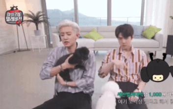 吴世勋的vivi又胖了,朴灿烈的手有点