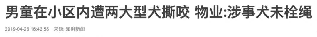                     男童被恶狗撕咬30分钟！一定要教会孩子这些，关键时刻能救命！