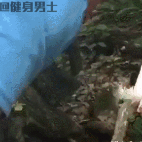 史上弹跳最变态的健身教练看得我膝盖生疼你咋不上天呢