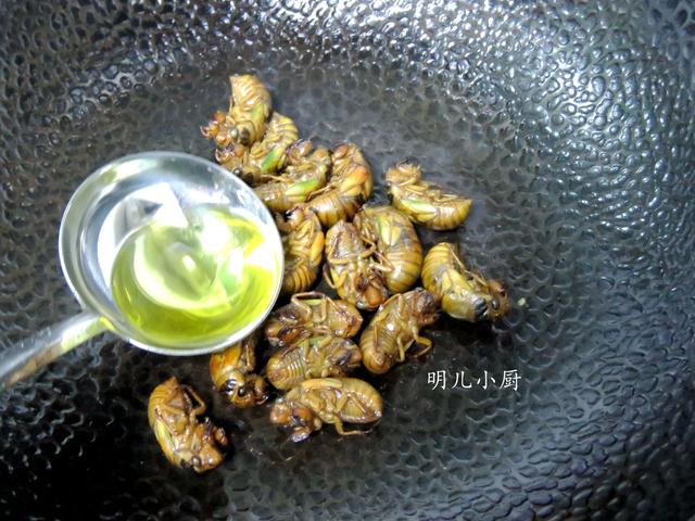 什么时候知了猴不叫了 59d4718b62a147f595ed6273f7c9fff8.jpeg