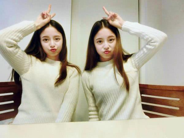 双生花是指姐妹吗 5d74725aa1f54f288c80025b99431ce0.jpeg