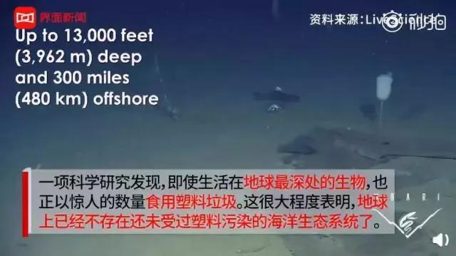 62dbc80012ba4ec3aa4f2e3695809998.JPG