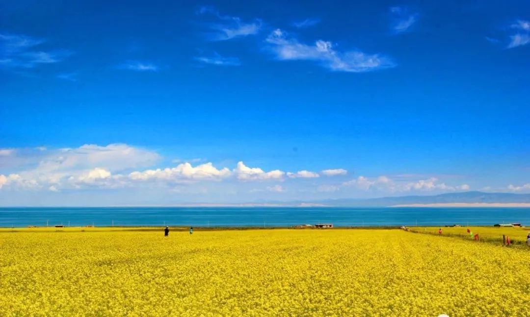 青海绝美风景背后,都藏着一个动人的故事