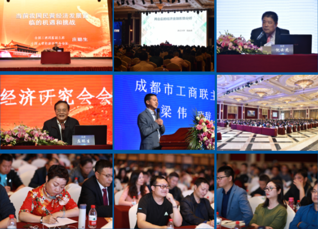 成都2019民营经济总量_民营经济