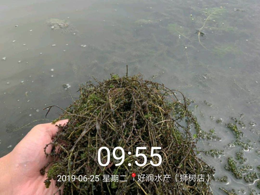 71573e334932401f9a2bc125324f3872.jpeg