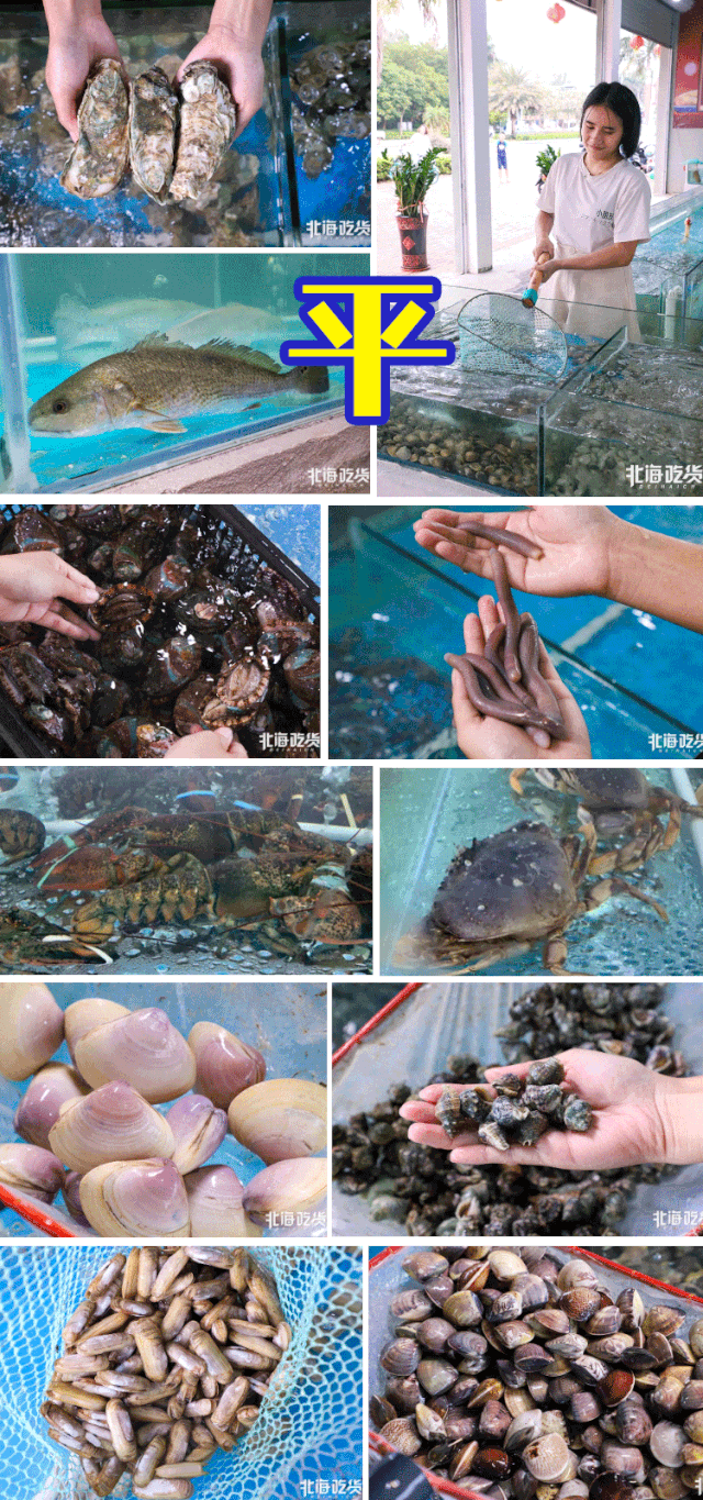 1200㎡海鲜批发城空降北海!100 鲜货任选,价格堪比大排档!