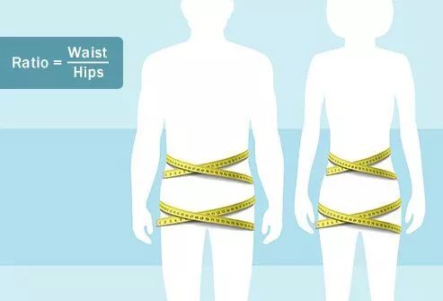 腰臀比怎么算0.8 749617c8ff3942a187434d24d7705d5a.jpeg