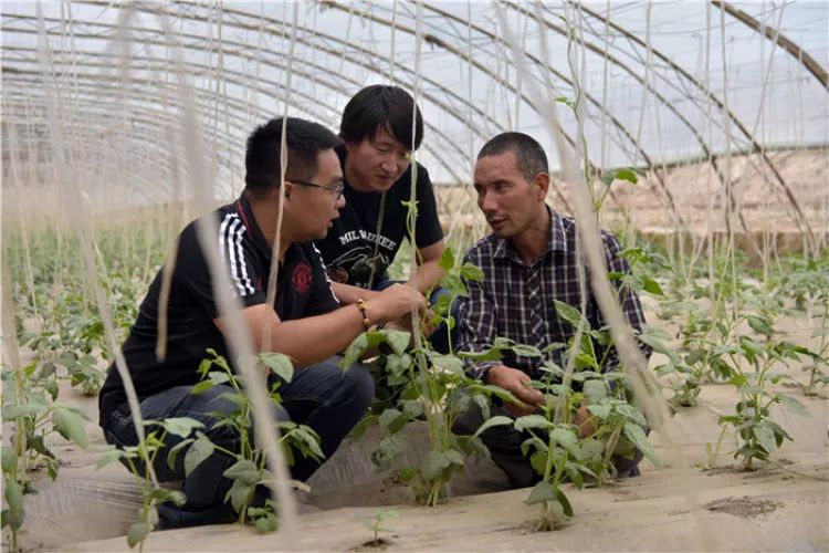 莎车县有多少人口_中国最牛的县城 新疆莎车