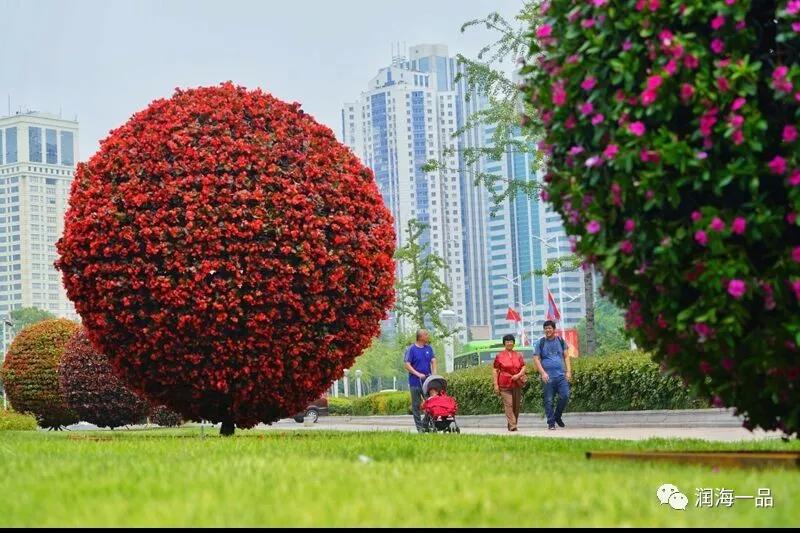 潤海一品：上合青島峰會舉辦地市南區美麗景色 旅遊 第15張