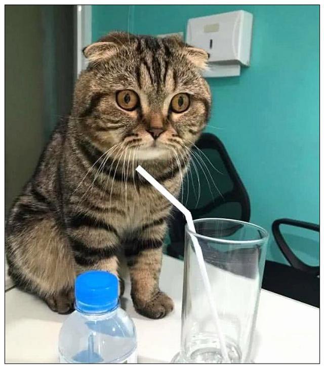 7e60c07ce2c54e0990d1c01c60b4103f.jpeg