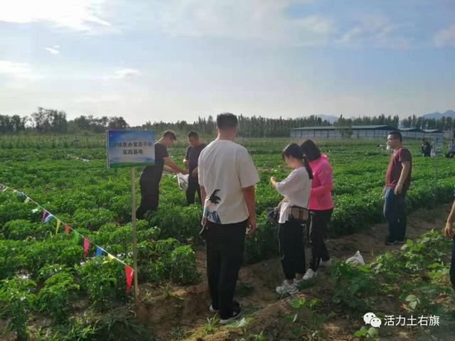 萨拉齐镇人口_萨拉齐镇地图 萨拉齐镇卫星地图 萨拉齐镇高清航拍地图(2)