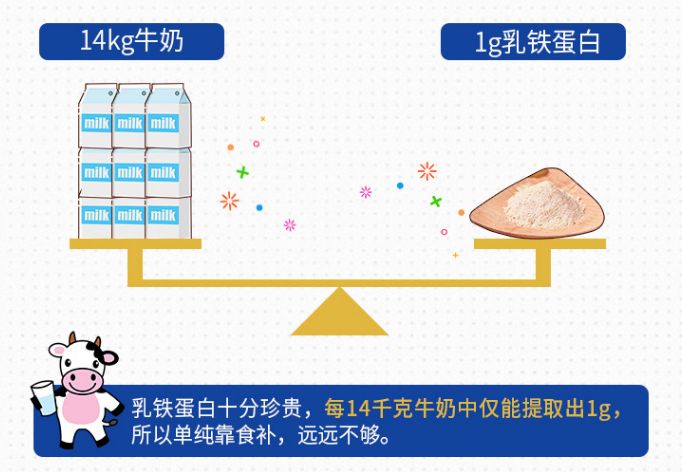 补充人口_人口普查