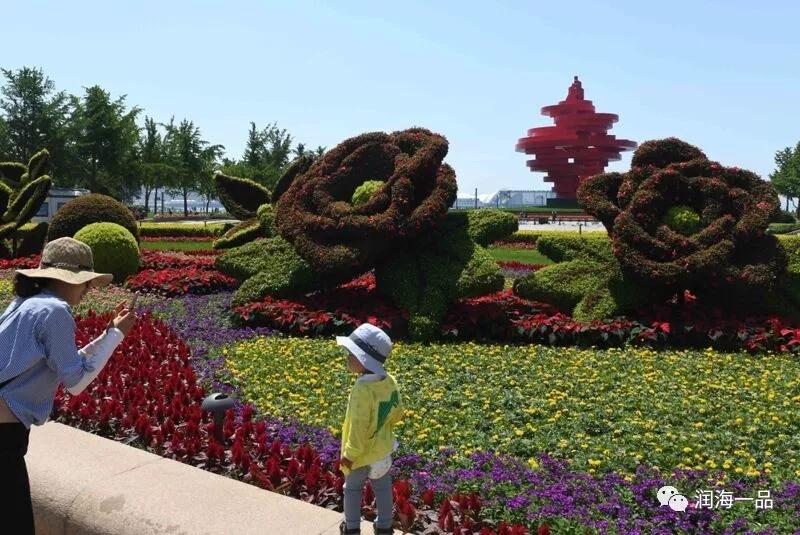 潤海一品：上合青島峰會舉辦地市南區美麗景色 旅遊 第14張