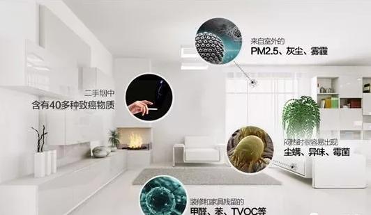 如何有效去除室内砷味 8d54df9181cc4fc3b92de7fcaff3a165.png