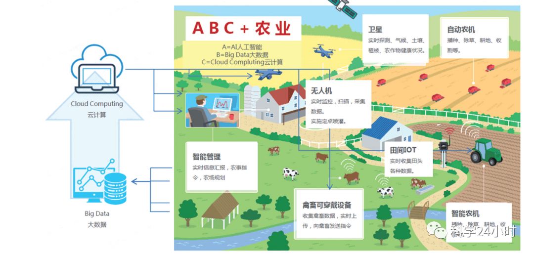 【独家·24小时】数字经济与产业结构转型