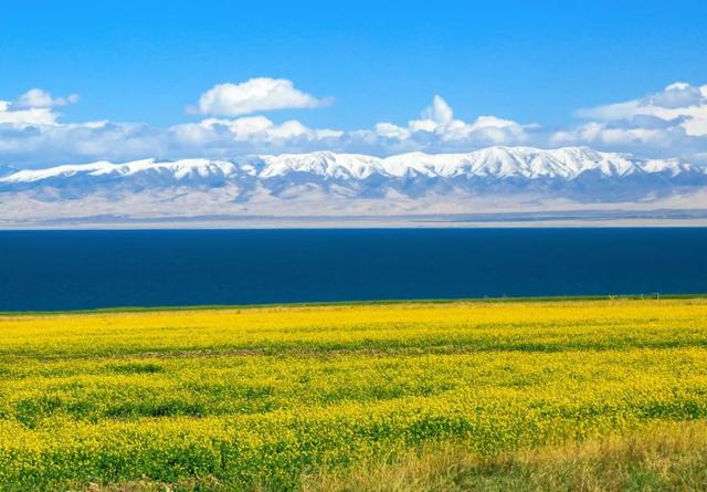 啥是青海湖电池 97831d42abbc417aad5fcd508e9d79c9.jpeg