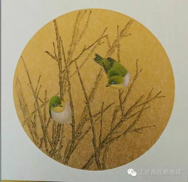 顾军工笔花鸟鱼虫国画欣赏