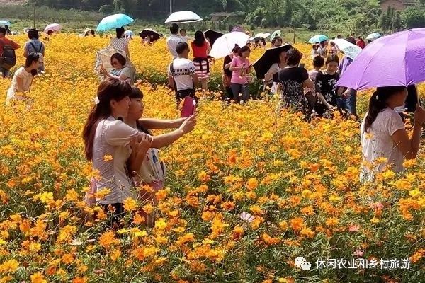 开云体育 开云平台什么叫休闲农业？有不少新农人还没有真正弄明白！(图4)