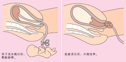 a3ae8e811e58460eb807f7cfcf9132d2.png