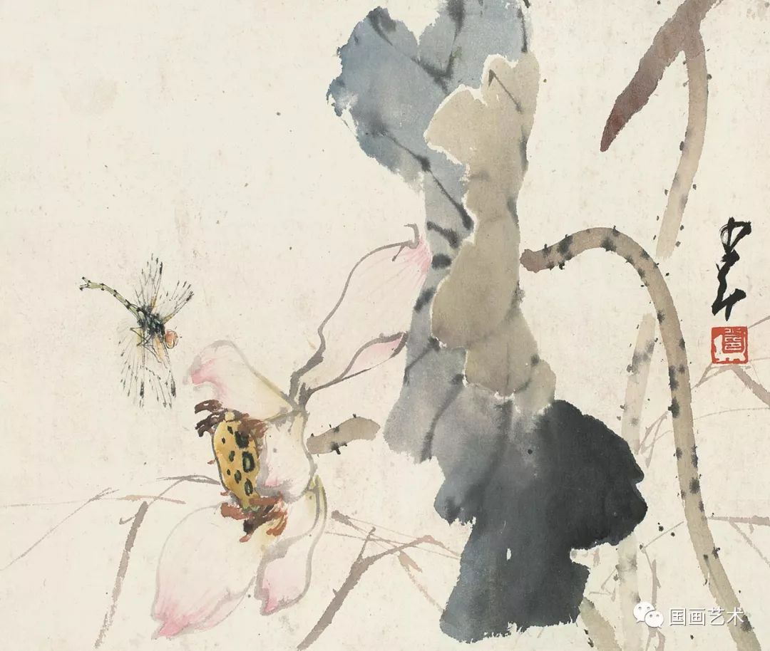 名家笔下的荷花,蜻蜓