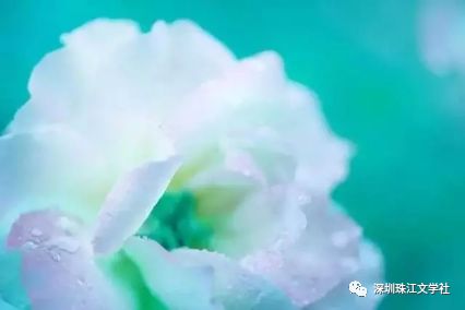 【第665期 : 小讲堂《夜半灯光. 有感于老师深夜