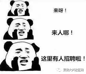 【大兴求职】事业单位招人啦!岗位多!待遇好!快报名! 澳门买球网站
