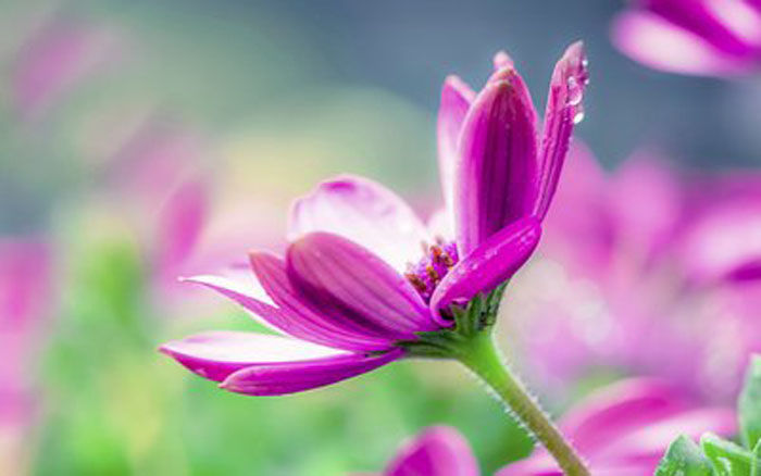 平常心的句子图片 bb0fa23b7f0b41d78cee5b79e5b0475c.jpeg