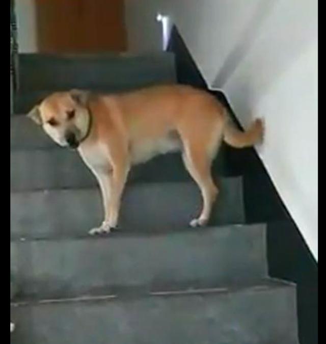 bbb71e7f9a5743939cc8663ea781f1d5.jpeg