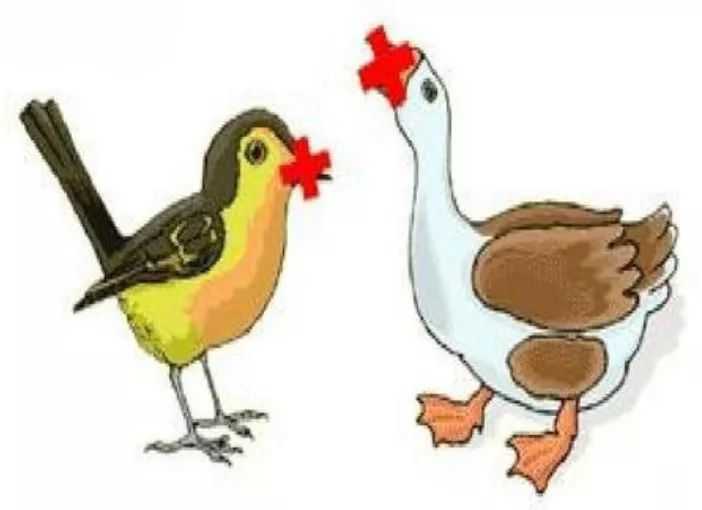 鸭子脚印猜成语是什么成语_看图猜成语一只黄色的鸭子旁边有好多的脚印