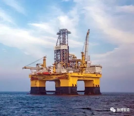 蓝鲸有哪部分组成 c2c686bbf0f6473b9280558b12545ed5.jpeg