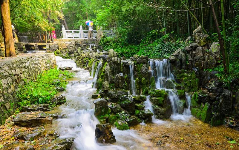 济南近郊也有个"竹泉村"——涌泉竹林